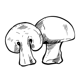 ירקות ופירות