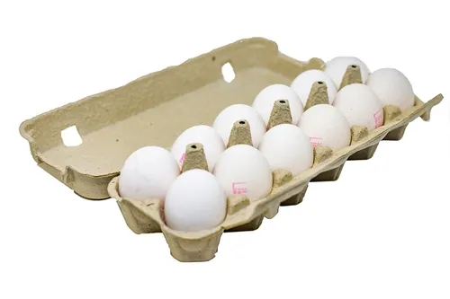 ביצים 12 יח' L בפיקוח ממשלתי