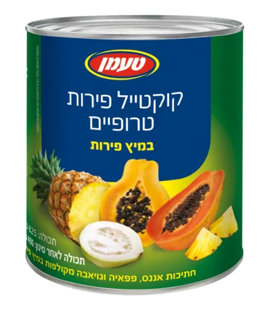 טעמן | 825 גרם קוקטייל פירות טרופיים