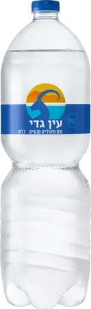 עין גדי | 2 ליטר מים מינרליים