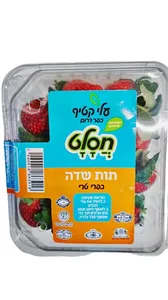 תות  שדה חסלט