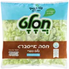 אייסברג 300 גר