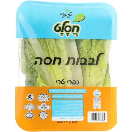 חסלט | לבבות חסה