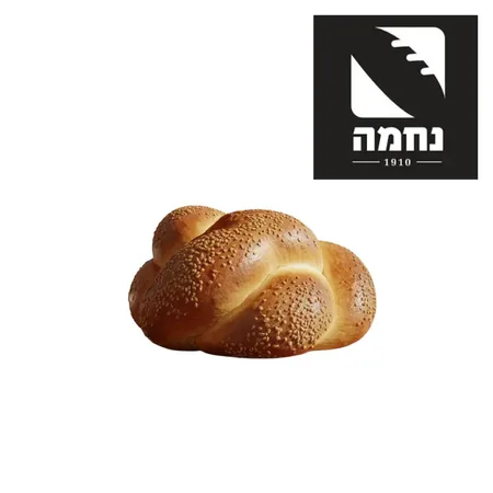 נחמה | חלה ציפור
