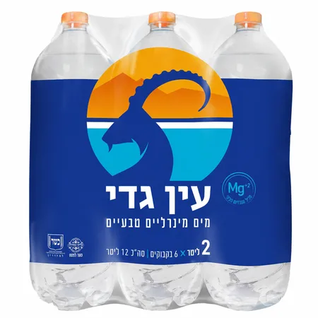 עין גדי | 6×2 ליטר מים מינרליים